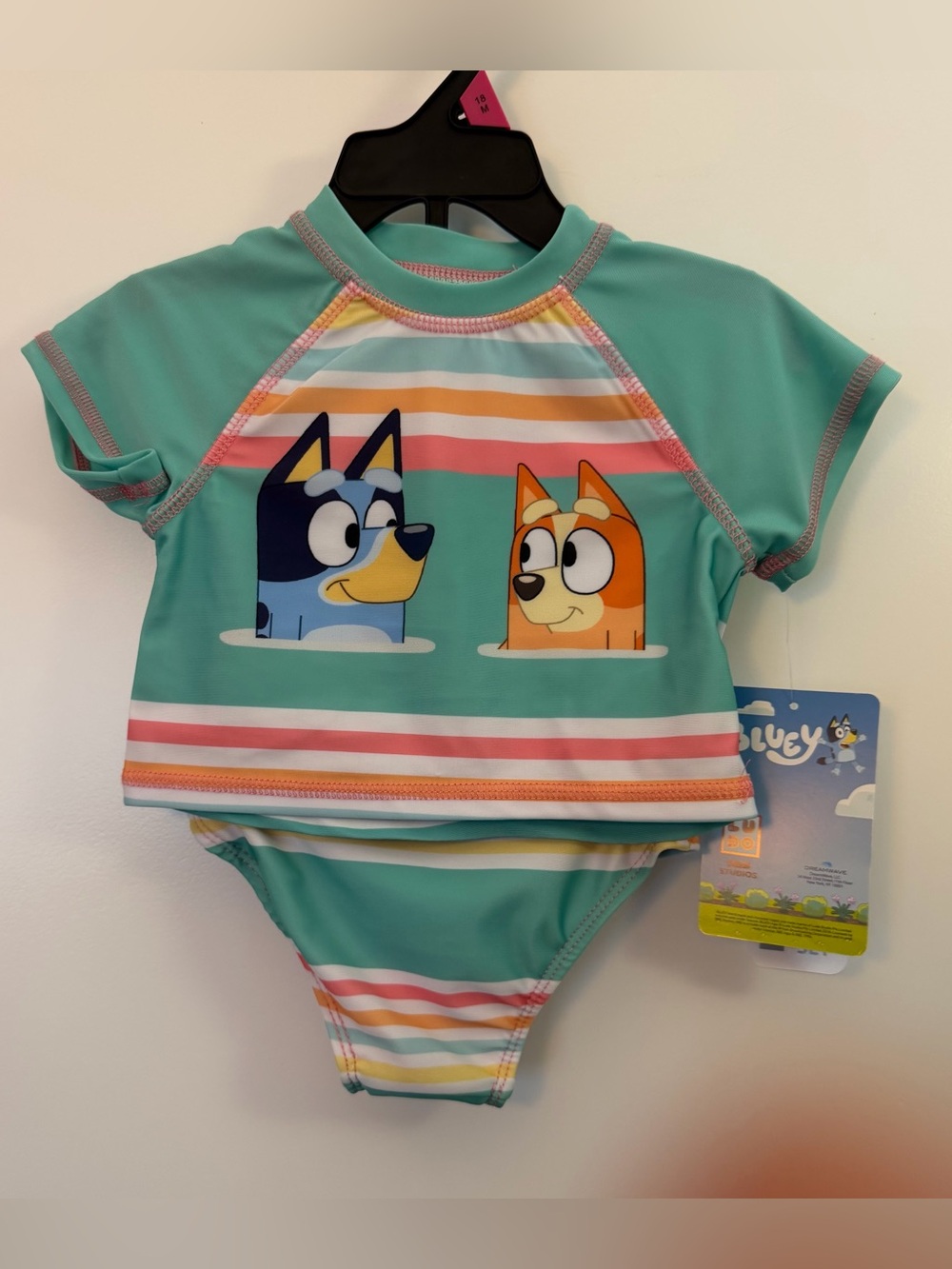 Bluey Kids' Teal Two-Piece Rash Guard Bikini Set